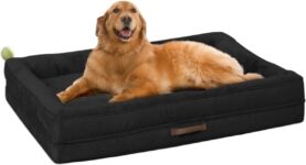 Top 10 Der Besten Hundebetten 2026