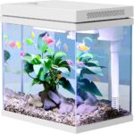 Top 10 Der Besten Aquarien 2026