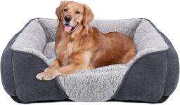Top 10 Der Besten Hundebetten 2026