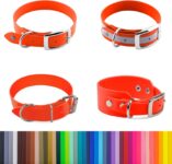 Top 10 Der Besten Hundehalsbänder 2026