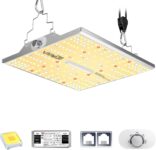 Top 10 Der Besten Wachstumslichter 2026