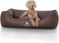 Top 10 Der Besten Orthopädische Hundebetten 2026