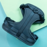 Top 10 Der Besten Hundegeschirre 2026